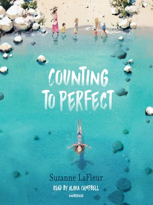 cover image of Counting to Perfect